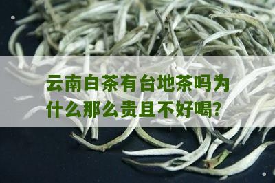 云南白茶有台地茶吗为什么那么贵且不好喝？