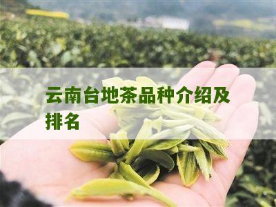 云南台地茶品种介绍及排名