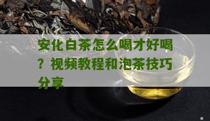 安化白茶怎么喝才好喝？视频教程和泡茶技巧分享