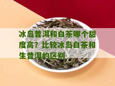 冰岛普洱和白茶哪个甜度高？比较冰岛白茶和生普洱的区别