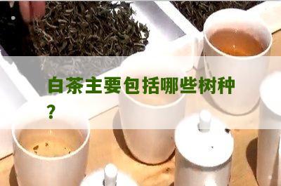 白茶主要包括哪些树种？