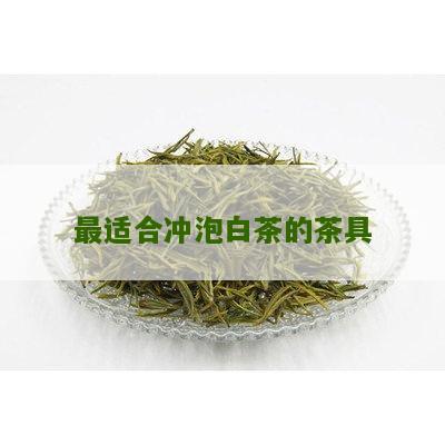 最适合冲泡白茶的茶具