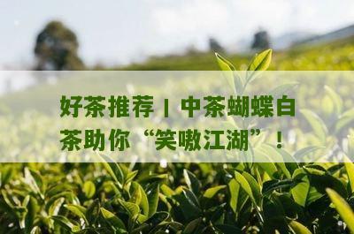 好茶推荐丨中茶蝴蝶白茶助你“笑嗷江湖”！