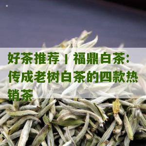 好茶推荐丨福鼎白茶:传成老树白茶的四款热销茶