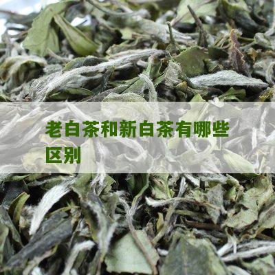 老白茶和新白茶有哪些区别