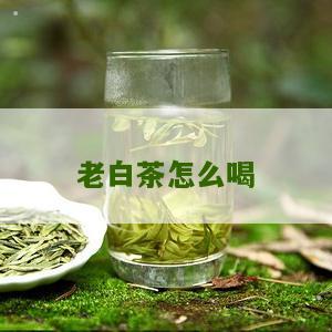 老白茶怎么喝