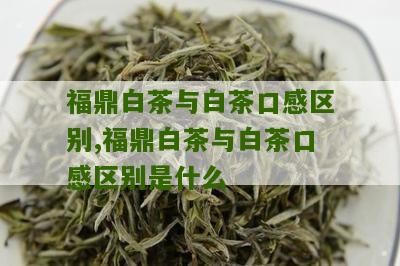 福鼎白茶与白茶口感区别,福鼎白茶与白茶口感区别是什么