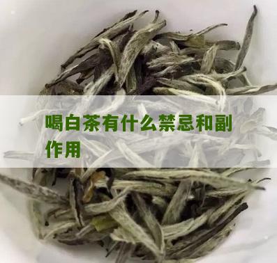 喝白茶有什么禁忌和副作用