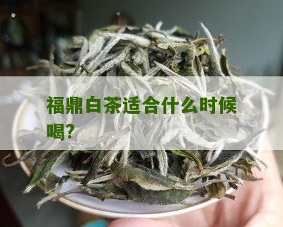 福鼎白茶适合什么时候喝?