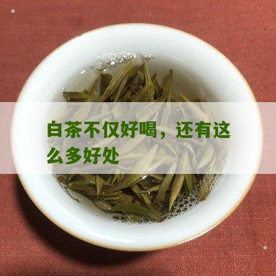 白茶不仅好喝，还有这么多好处