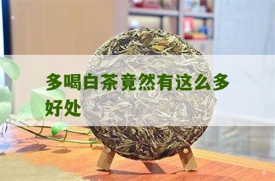 多喝白茶竟然有这么多好处