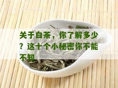 关于白茶，你了解多少？这十个小秘密你不能不知