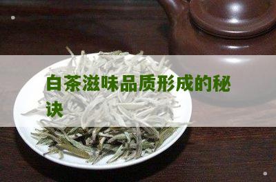 白茶滋味品质形成的秘诀