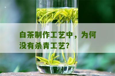 白茶制作工艺中，为何没有杀青工艺？