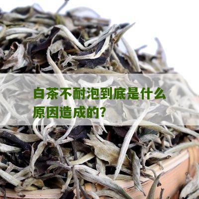 白茶不耐泡到底是什么原因造成的？