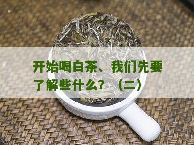 开始喝白茶、我们先要了解些什么？（二）