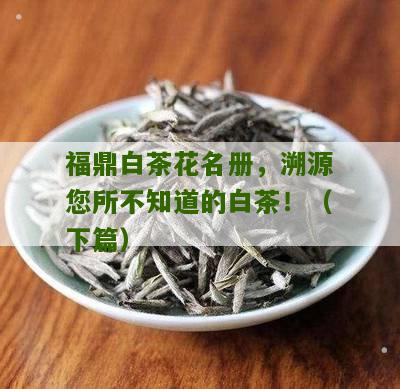 福鼎白茶花名册，溯源您所不知道的白茶！（下篇）