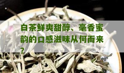 白茶鲜爽甜醇、毫香蜜韵的口感滋味从何而来？