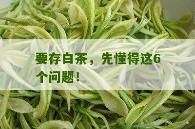 要存白茶，先懂得这6个问题！