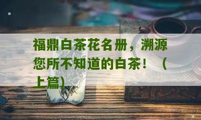 福鼎白茶花名册，溯源您所不知道的白茶！（上篇）