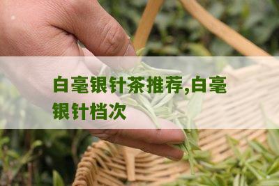 白毫银针茶推荐,白毫银针档次