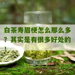 白茶寿眉梗怎么那么多？其实是有很多好处的！