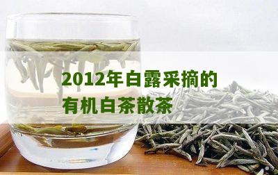 2012年白露采摘的有机白茶散茶