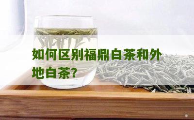 如何区别福鼎白茶和外地白茶？