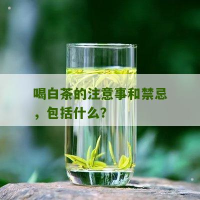 喝白茶的注意事和禁忌，包括什么？