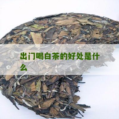 出门喝白茶的好处是什么