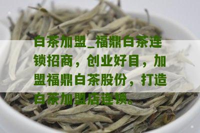 白茶加盟_福鼎白茶连锁招商，创业好目，加盟福鼎白茶股份，打造白茶加盟店连锁。