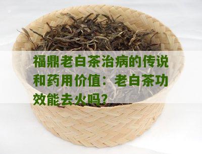 福鼎老白茶治病的传说和药用价值：老白茶功效能去火吗？