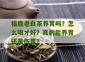 福鼎老白茶养胃吗？怎么喝才好？真的能养胃还是伤胃？