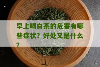 早上喝白茶的危害有哪些症状？好处又是什么？