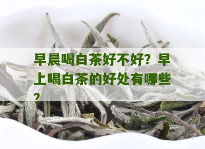 早晨喝白茶好不好？早上喝白茶的好处有哪些？