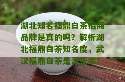 湖北知名福鼎白茶招商品牌是真的吗？解析湖北福鼎白茶知名度，武汉福鼎白茶是否正宗？