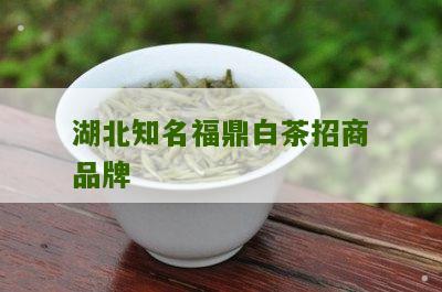 湖北知名福鼎白茶招商品牌