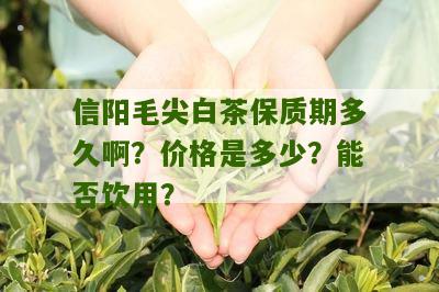 信阳毛尖白茶保质期多久啊？价格是多少？能否饮用？