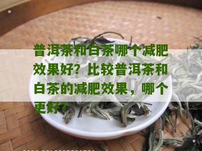 普洱茶和白茶哪个减肥效果好？比较普洱茶和白茶的减肥效果，哪个更好？