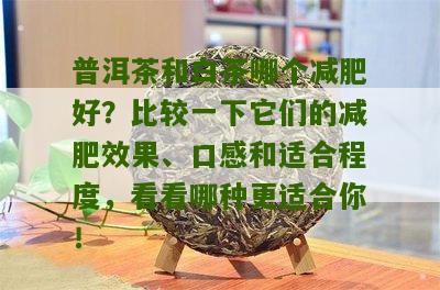 普洱茶和白茶哪个减肥好？比较一下它们的减肥效果、口感和适合程度，看看哪种更适合你！