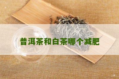 普洱茶和白茶哪个减肥