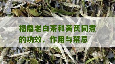 福鼎老白茶和黄芪同煮的功效、作用与禁忌