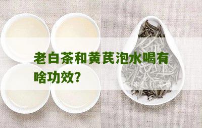 老白茶和黄芪泡水喝有啥功效？