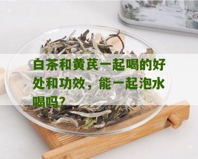 白茶和黄芪一起喝的好处和功效，能一起泡水喝吗？