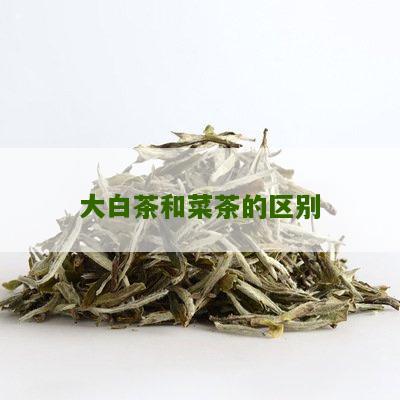 大白茶和菜茶的区别