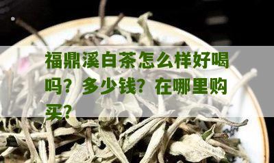 福鼎溪白茶怎么样好喝吗？多少钱？在哪里购买？