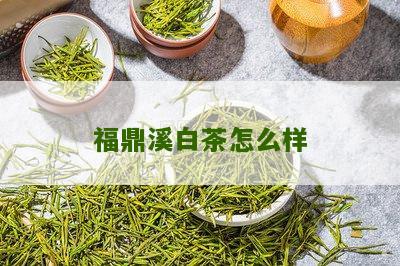 福鼎溪白茶怎么样