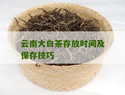 云南大白茶存放时间及保存技巧