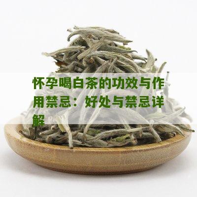 怀孕喝白茶的功效与作用禁忌：好处与禁忌详解