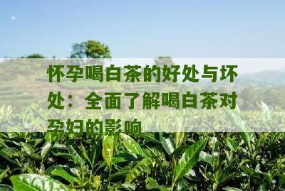 怀孕喝白茶的好处与坏处：全面了解喝白茶对孕妇的影响